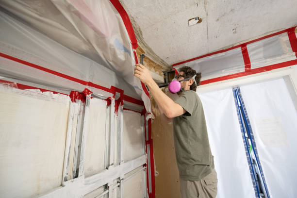 Asbestos and Lead Testing During Mold Inspection in Union City, IN