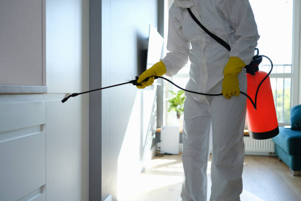 Mold Documentation for Insurance Claims in Union City, IN