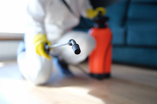 Best HVAC Mold Inspection and Cleaning  in Union City, IN