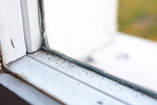 Best Air Quality Testing for Mold Spores  in Union City, IN