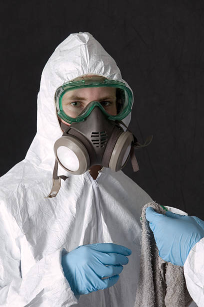 Best Attic Mold Removal  in Union City, IN
