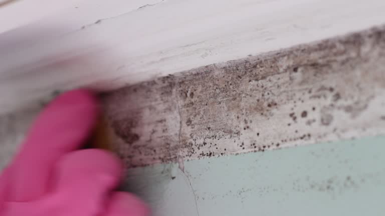 Best Indoor Air Quality Assessment  in Union City, IN
